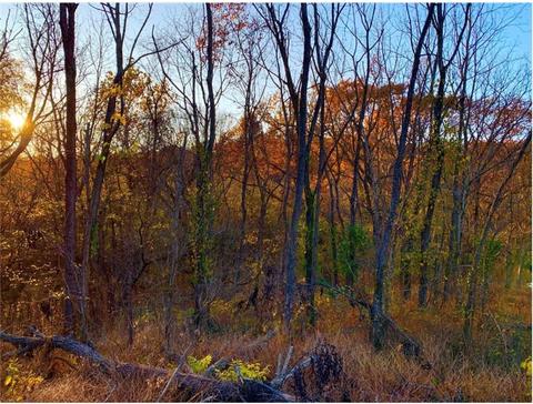 Olmsted Place, Bella Vista, AR 72715