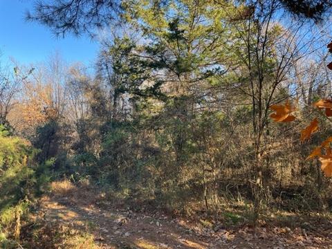9604 Ruby Hall Rd, Gentry, AR 72734 photo 6