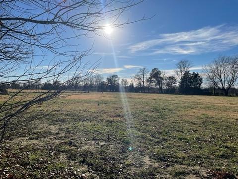 9604 Ruby Hall Rd, Gentry, AR 72734 photo 15