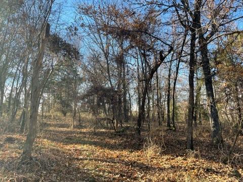 9604 Ruby Hall Rd, Gentry, AR 72734 photo 8