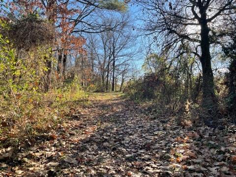 9604 Ruby Hall Rd, Gentry, AR 72734 photo 11