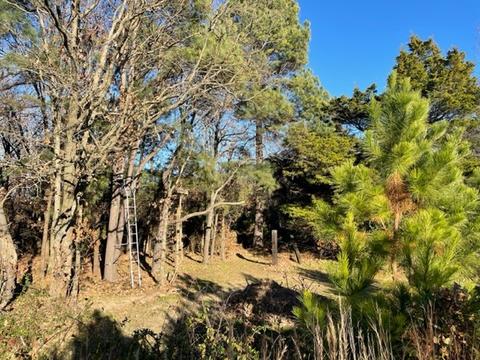 9604 Ruby Hall Rd, Gentry, AR 72734 photo 2
