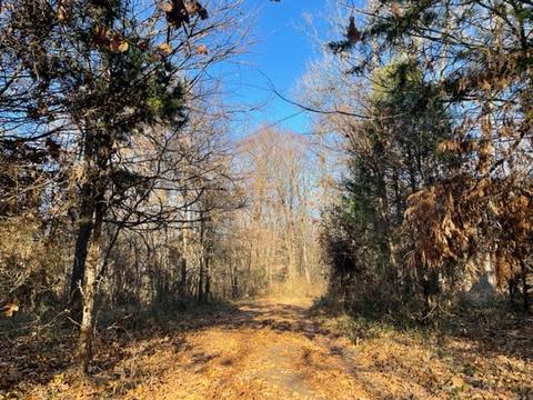 9604 Ruby Hall Rd, Gentry, AR 72734 photo 13