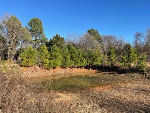 9604 Ruby Hall Rd, Gentry, AR 72734 photo 1