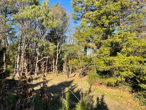 9604 Ruby Hall Rd, Gentry, AR 72734 photo 5