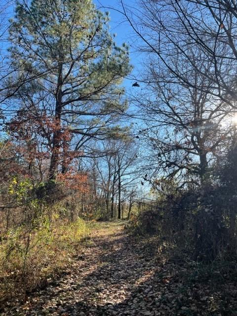 9604 Ruby Hall Rd, Gentry, AR 72734 photo 9