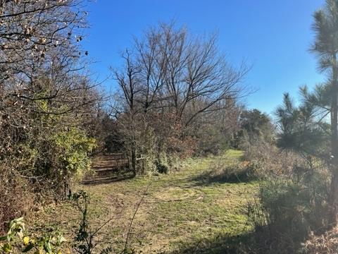 9604 Ruby Hall Rd, Gentry, AR 72734 photo 4