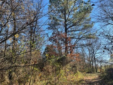 9604 Ruby Hall Rd, Gentry, AR 72734 photo 10