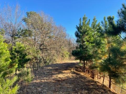 9604 Ruby Hall Rd, Gentry, AR 72734 photo 3