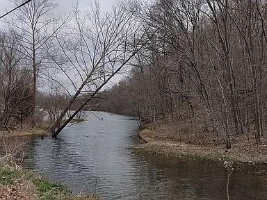 Leona Drive, Bella Vista, AR 72715