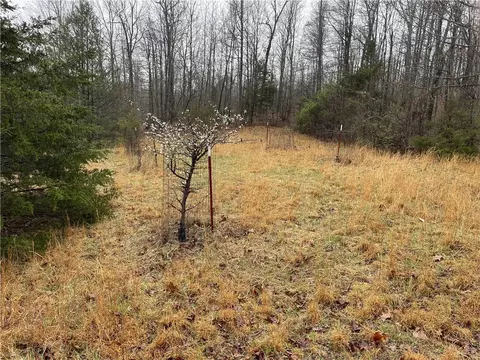 563 454 Madison 3325, Witter, AR 72776 photo 5