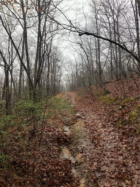 563 454 Madison 3325, Witter, AR 72776 photo 6