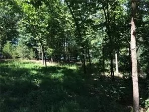 Off 152, Eureka Springs, AR 72632 photo 2