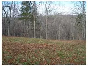 Off 152, Eureka Springs, AR 72632 photo 6