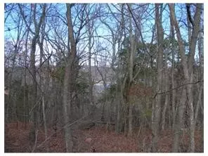 Off 152, Eureka Springs, AR 72632 photo 7