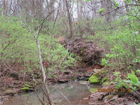 795 N Centennial Ave, West Fork, AR 72774 photo 7