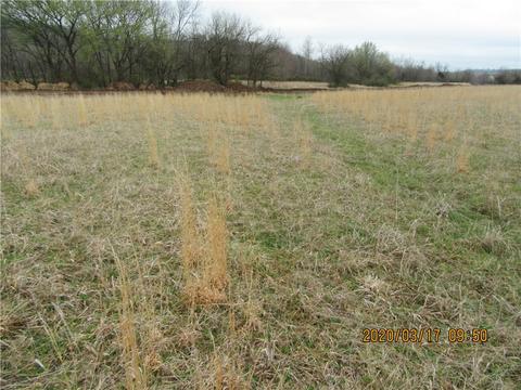 795 N Centennial Ave, West Fork, AR 72774 photo 10
