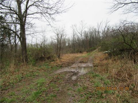 795 N Centennial Ave, West Fork, AR 72774 photo 15