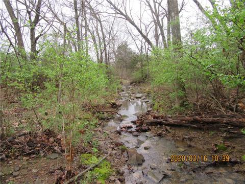 795 N Centennial Ave, West Fork, AR 72774 photo 3