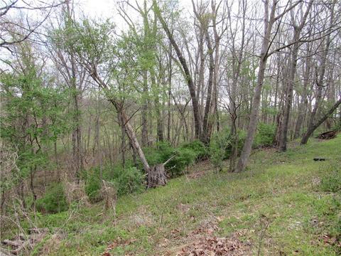 815 Callihan Loop, Springdale, AR 72762 photo 28