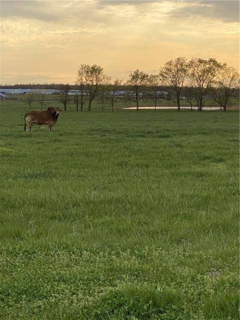 20670 E 440, Jay, OK 74346 photo 17