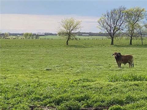 20670 E 440, Jay, OK 74346 photo 15