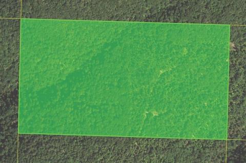 80 Acres Sunset Rd, Winslow, AR 72959