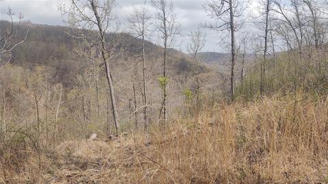 20404 Sunset Rd, Winslow, AR 72959