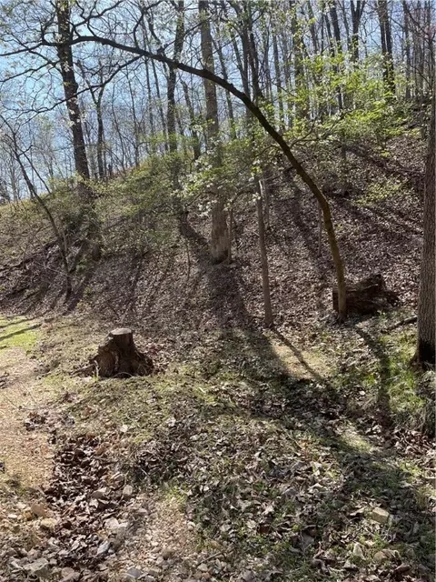 Tomahawk Trail, Rogers, AR 72756 photo 13