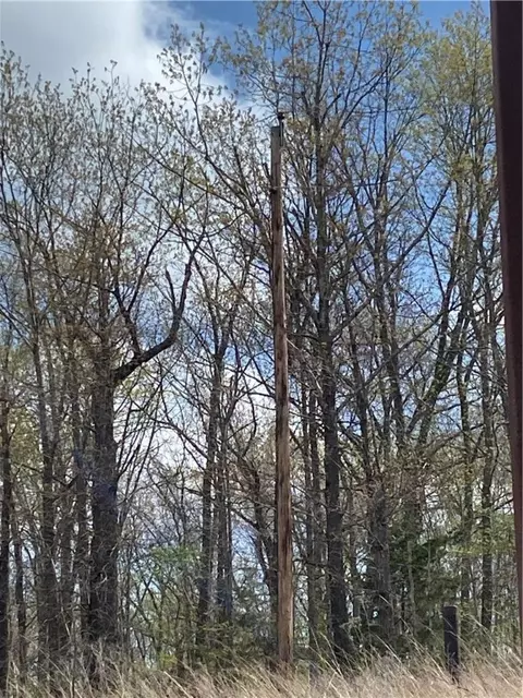 Tomahawk Trail, Rogers, AR 72756 photo 18