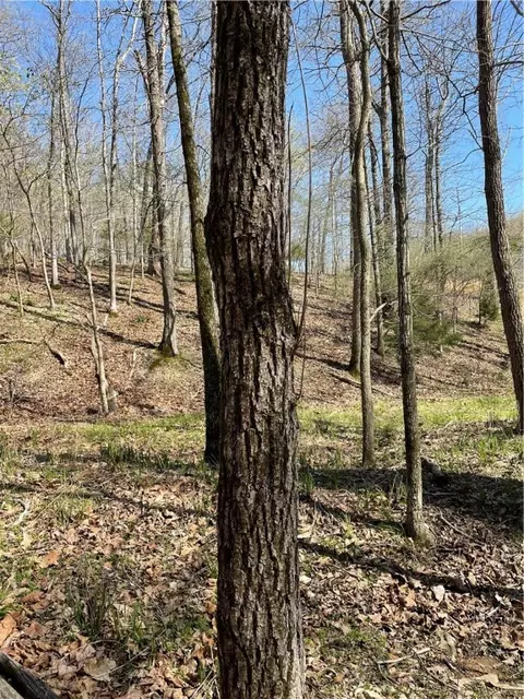 Tomahawk Trail, Rogers, AR 72756 photo 12