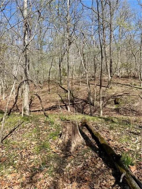 Tomahawk Trail, Rogers, AR 72756 photo 11