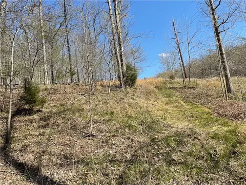 Tomahawk Trail, Rogers, AR 72756 photo 15