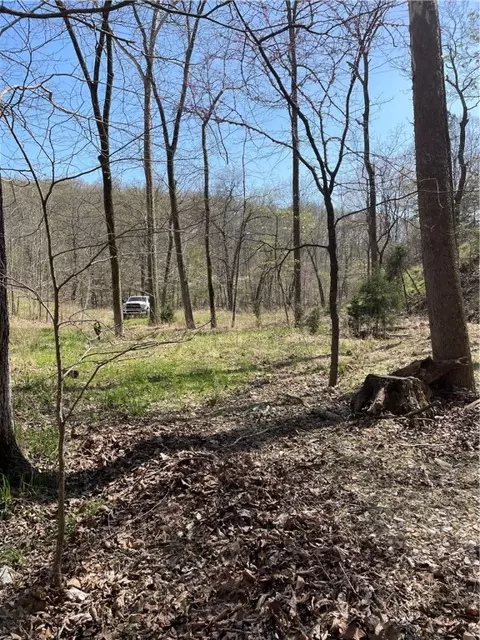 Tomahawk Trail, Rogers, AR 72756 photo 14