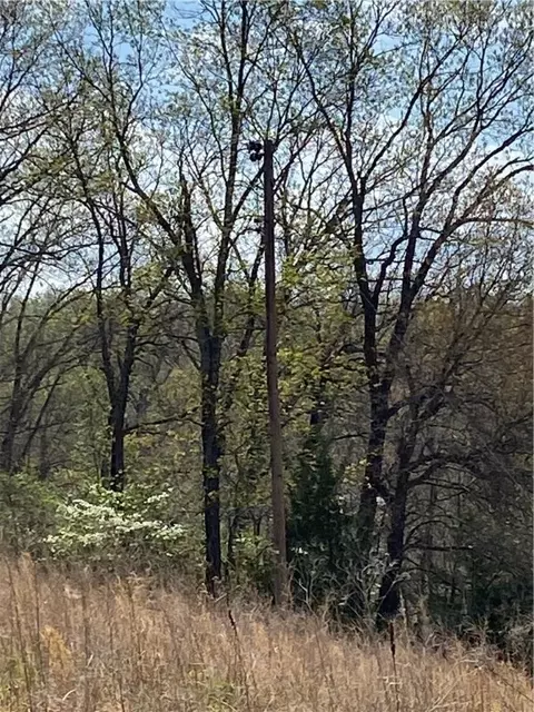 Tomahawk Trail, Rogers, AR 72756 photo 17