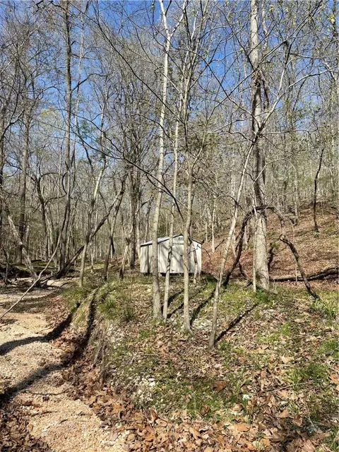 Tomahawk Trail, Rogers, AR 72756 photo 10