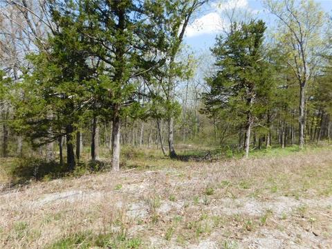 10322 E Highway 156, West Fork, AR 72774 photo 1
