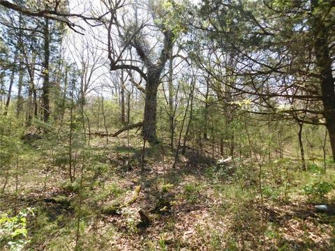 10322 E Highway 156, West Fork, AR 72774 photo 12