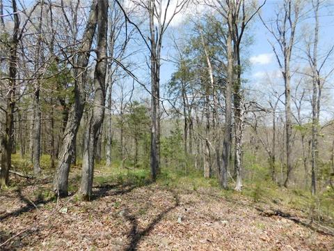 10322 E Highway 156, West Fork, AR 72774 photo 17