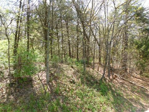 10322 E Highway 156, West Fork, AR 72774 photo 13