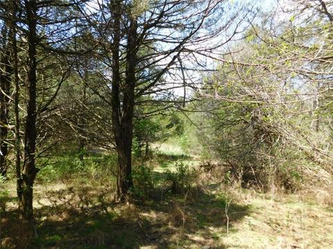 10322 E Highway 156, West Fork, AR 72774 photo 18