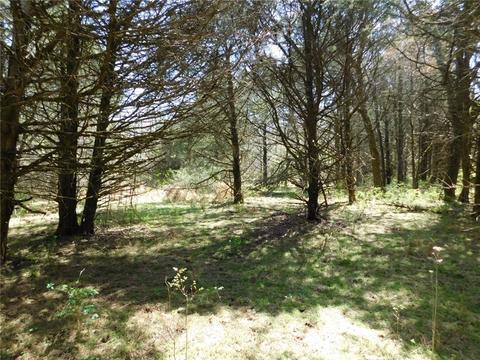 10322 E Highway 156, West Fork, AR 72774 photo 5