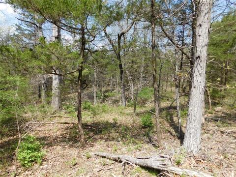 10322 E Highway 156, West Fork, AR 72774 photo 15
