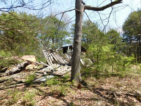 10322 E Highway 156, West Fork, AR 72774 photo 20
