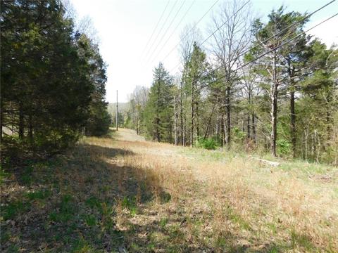 10322 E Highway 156, West Fork, AR 72774 photo 3