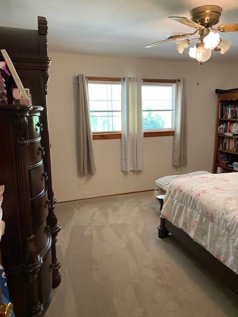 29319 P Hwy, Eagle Rock, MO 65641 photo 11