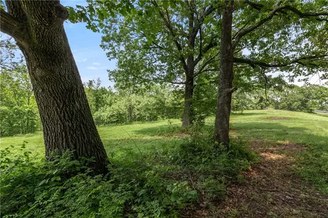 1117 Miser Rd, Noel, MO 64854 photo 22