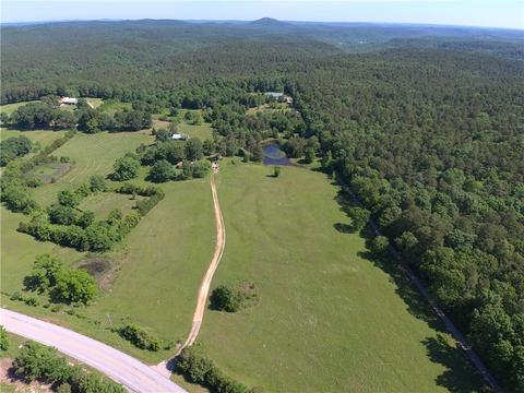 10062 Push Mtn, Norfork, AR 72658 photo 1