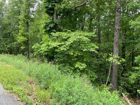 Blyth Circle, Bella Vista, AR 72714