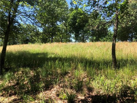 Viewpoint, Eureka Springs, AR 72631